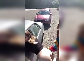 Cars pass by, but that doesn't stop them!